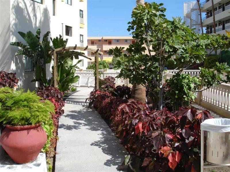 Apartamento Los Ficus Playa Del Inlges Playa del Inglés Exterior foto